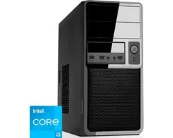Intel Desktop PC met Core i3 - 16GB RAM - 480GB SSD - WiFi - Bluetooth - Windows 11 Pro (RN-373176)