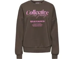 ONLY- ONLOFELIA L/S O-NECK UB CS SWT - Dames - Sweatshirt