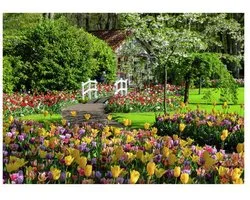 Puzzel Keukenhof Gardens 1000 stukjes - Legpuzzel landschap.