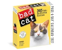 Bad Cat Page-A-Day® Calendar 2027