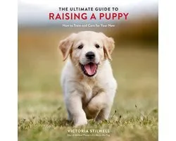The Ultimate Guide to Raising a Puppy