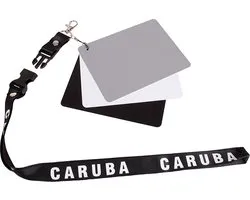 Carte grise Digital Caruba DGC-2