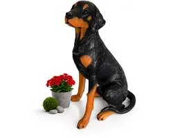 Tuinbeeld hond - 83 cm - dobermann
