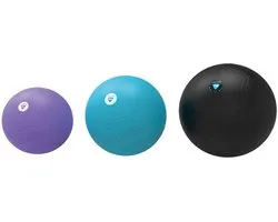 Livepro gymnastiek bal 75 cm