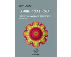 La ghiandola pineale: splendida connessione tra cervello ed anima