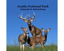 Acadia National Park Animals and Attractions Kids Book