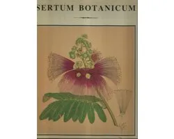 Sertum botanicum