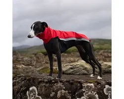 Manteau pour chien Softshell - Rouge - Corps Softshell - Whippet - Border Collie - Lévriers - Rapid Dog Wear - Taille S