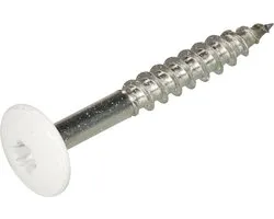 Vis Hpl 4.8X25 Inox Ral9010 Blanc Pur - 100 pièces
