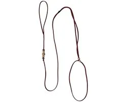 Abany quality design - Angell - Beige - luxe showlijn - Let op dit is een 4 mm dunne soepele – sliplijn specifiek voor hondenshow - ringtraining – hondenlijn - leiband – lengte 1.40 meter - SHW20023