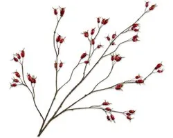 Silk-ka Kunstbloem-Zijden Bloem Rozenbottel Tak Rood 126 cm