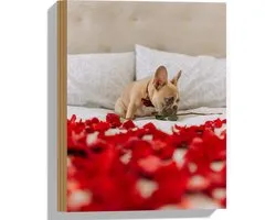 WallClassics - Bois - Chien sur lit avec pétales de rose rouge - Bouledogue français - 30x40 cm - 9 mm d'épaisseur - Photo sur bois (avec système de suspension)