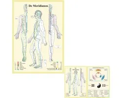 Anatomie poster meridianen (Nederlands, gelamineerd, A2 + A4) + ophangsysteem