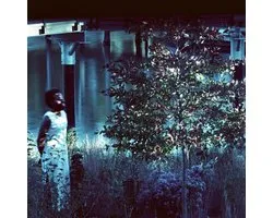 Jjjjjerome Ellis - Vesper Sparrow (LP)