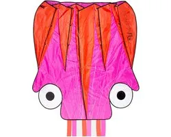 Dragon Fly Vlieger - Octopus - Roze/Oranje - 124 x 127 cm - Vanaf 7 jaar
