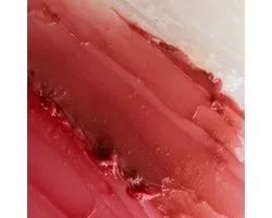 Melixir Vegan Lip Butter #11 Autumn Rain