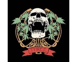 Lightbulb Vaporizer - Three (CD)