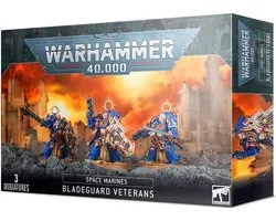 Warhammer 40.000 - Space Marines: Bladeguard Veterans