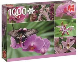 Jumbo Premium Collection Puzzel Holland Orchids - Legpuzzel - 1000 stukjes
