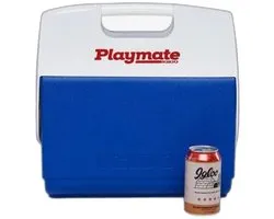 Igloo - Retro picnic mand koelbox - passieve koeling - 23 liter - groen - roze
