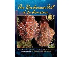 The Undersea Art of Indonesia