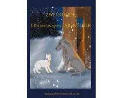 Zwei Hunde ein (weihnachts-) Abenteuer
