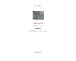 TOMBE DIMENTICATE. Guida agli enigmatici Massi Avelli (dall'Alta Brianza al confine svizzero)