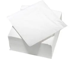 NAPPAGE ARTS DE LA TABLE 100 servetten van watten, 2-laags, 33 x 33 cm, wit, FSC