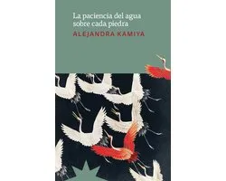 La paciencia del agua sobre cada piedra