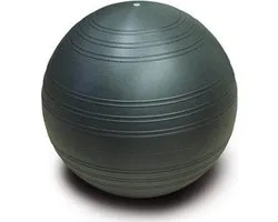Togu Gymnastiekbal Powerball Challenge ABS