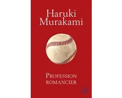 Profession romancier