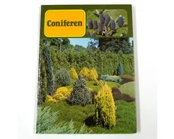 Coniferen