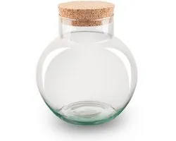 Terrarium bottle garden with cork - DIY Terrarium Online | Florazo