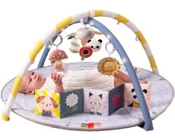 Taf Toys Fantasy Bloom Babygym