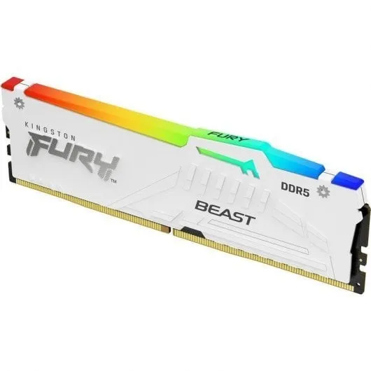 Kingston FURY Beast 1x32 Go DDR5-5600 CL36 DIMM 288 pins XMP/EXPO (with serial)