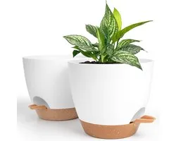 SnelShoppen - Winter Shore 20 Cm Zelfwaterende Planten Pot [2 Pak] - Wit & Bruin Plastic Bloemenpot met Drainage Gaten, Schotel en Water Reservoir voo