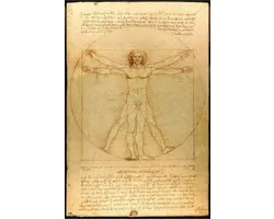 Poster Vitruvian Man 61x91,5cm