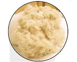 Guling Navulling | Goeling | Bantal Pollo navulling 100% natuurlijk Hypoallergeen Original kussen Kpok™ Java Kapok 250gr. Erfenis van de Archipel [ALLEEN NA-VULLING]. Sluimerrol-Bolster-Yoga-Zorg-Massagekussen-Lichaamskussen-Body Pillow-Long Pillow #