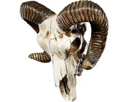 Pacific Giftware Wanddecoratie Ram schedel met hoorns - trofee Baphomet wandreliëf schedel schedel