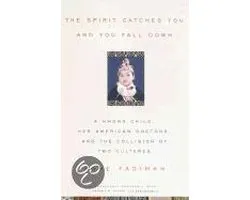 The Spirit Catches You And You Fall Down