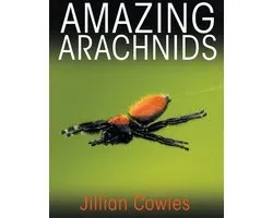 Amazing Arachnids