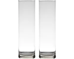 Set van 2x stuks transparante home-basics Cylinder vaas/vazen van glas 30 x 9 cm - Bloemen/takken/boeketten vaas voor binnen gebruik