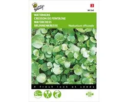 Buzzy Zaden Waterkers - Nasturtium officinalis