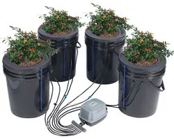 Système hydroponique VEVOR 20L DWC, avec 4 Seaux et pompe à air, Geen terre, robuste, durable, résistant à la corrosion et à la température, pour tentes de plantes, jardins, balcons, bureaux ou maison