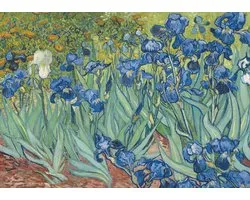 Vincent van Gogh poster - irissen - bloemen - Luxe - kunst - 50 x 70 cm