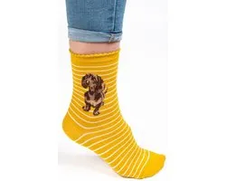 Wrendale Sokken - Teckel - 'Little One' Dachshund Socks