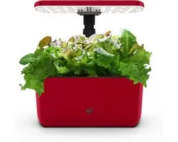 AeroGarden Harvest Lite Indoor Hydroponic System for Garden with LED Grow Light, Supports up to 6 AeroGarden Capsules, Cherry Red