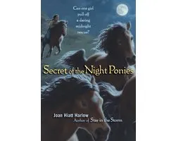 Secret of the Night Ponies