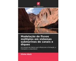 Modelação de fluxos múltiplos em sistemas submarinos de canais e diques