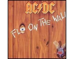 Fly On The Wall